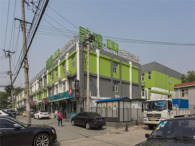 浙江肉圆炖蒲菜多少钱